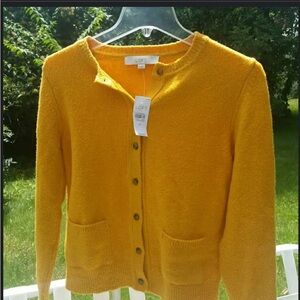 LOFT Golden Yellow Button-Up Pocket Cardigan